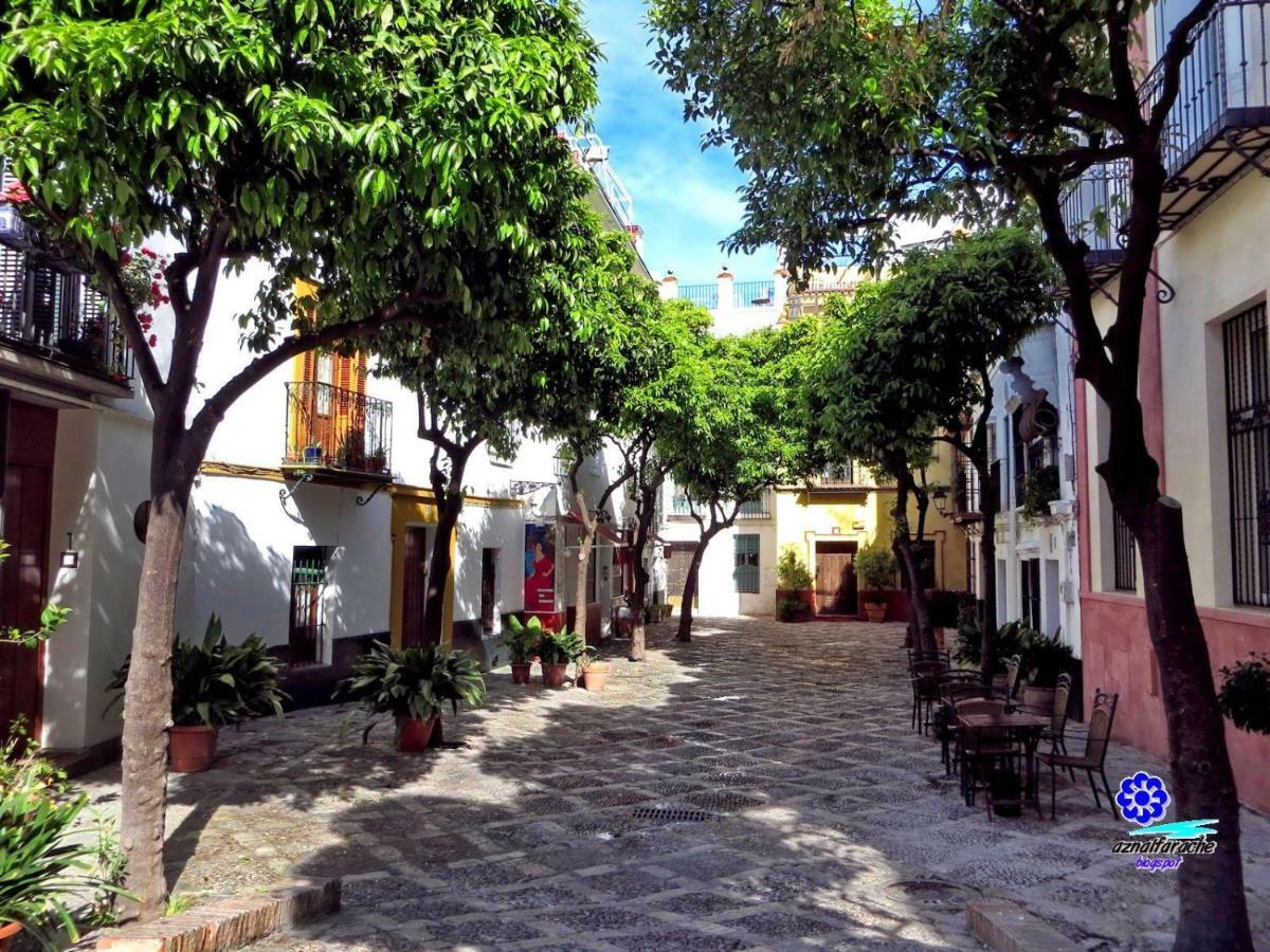 Wish Suite Juderia De Sevilla Bagian luar foto