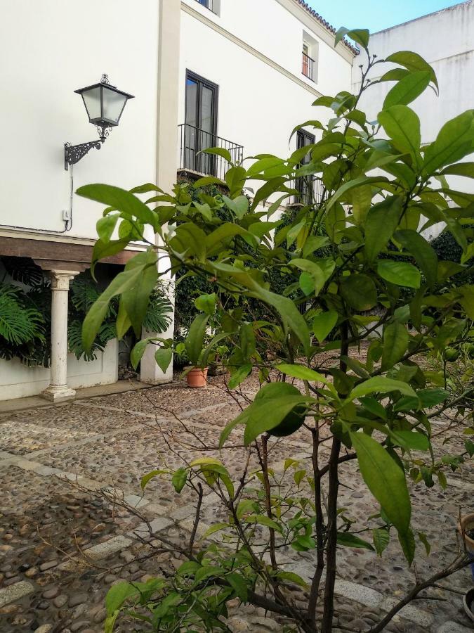 Wish Suite Juderia De Sevilla Bagian luar foto
