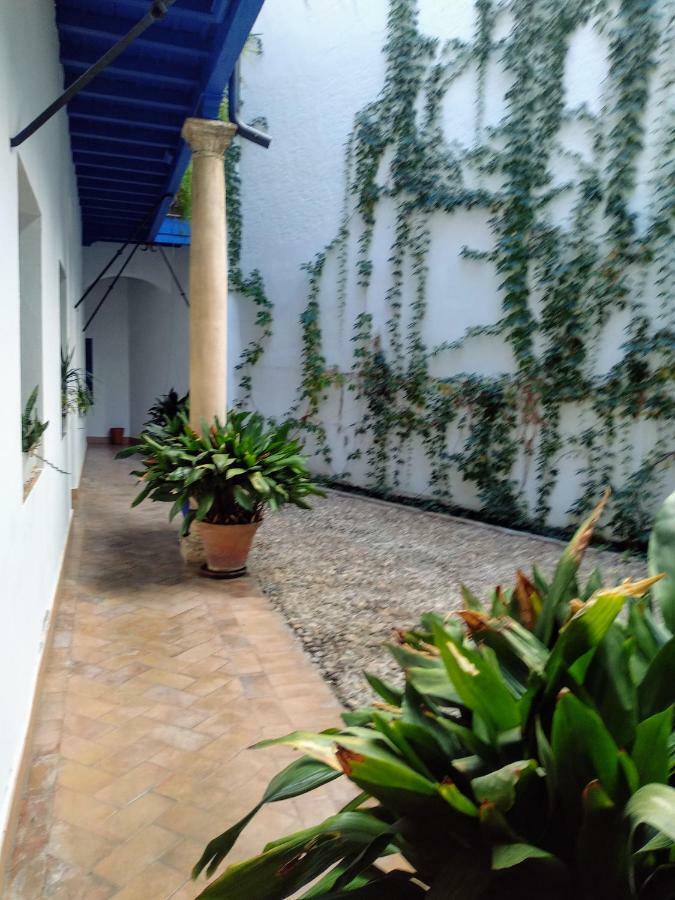 Wish Suite Juderia De Sevilla Bagian luar foto