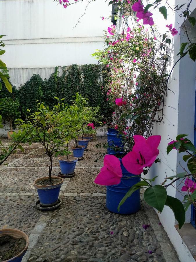 Wish Suite Juderia De Sevilla Bagian luar foto