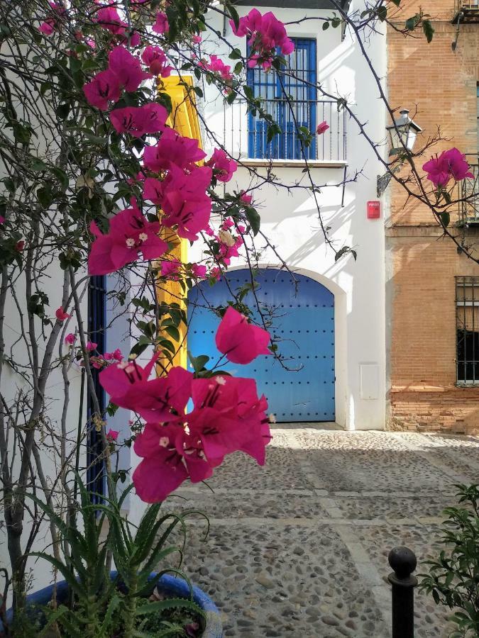 Wish Suite Juderia De Sevilla Bagian luar foto